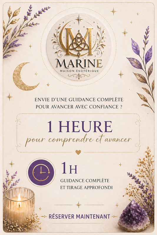 Consultation 1 heure